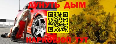 mdpv Новодвинск