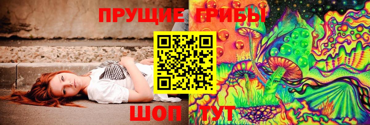 Псилоцибиновые грибы прущие грибы  Вход с VPN  Тайшет 