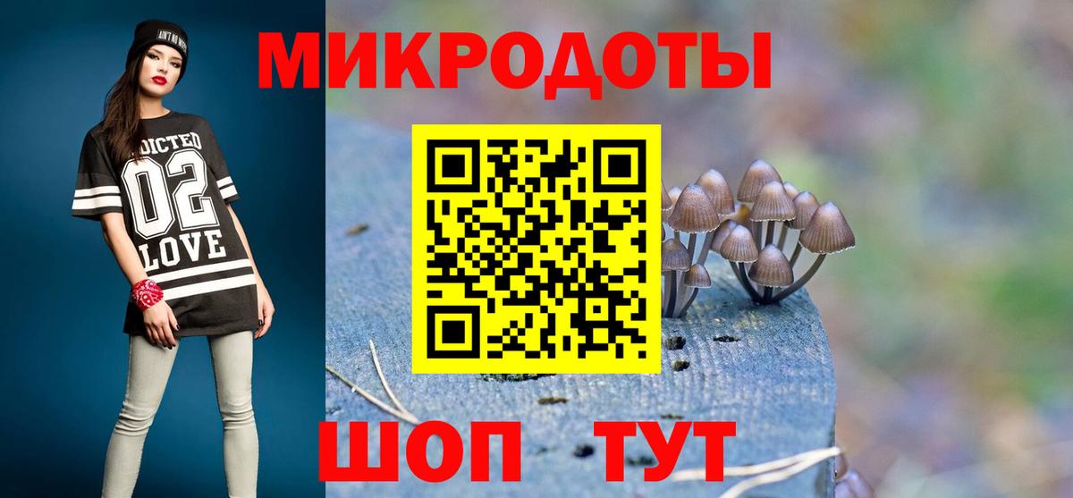 Галлюциногенные грибы мицелий Тайшет